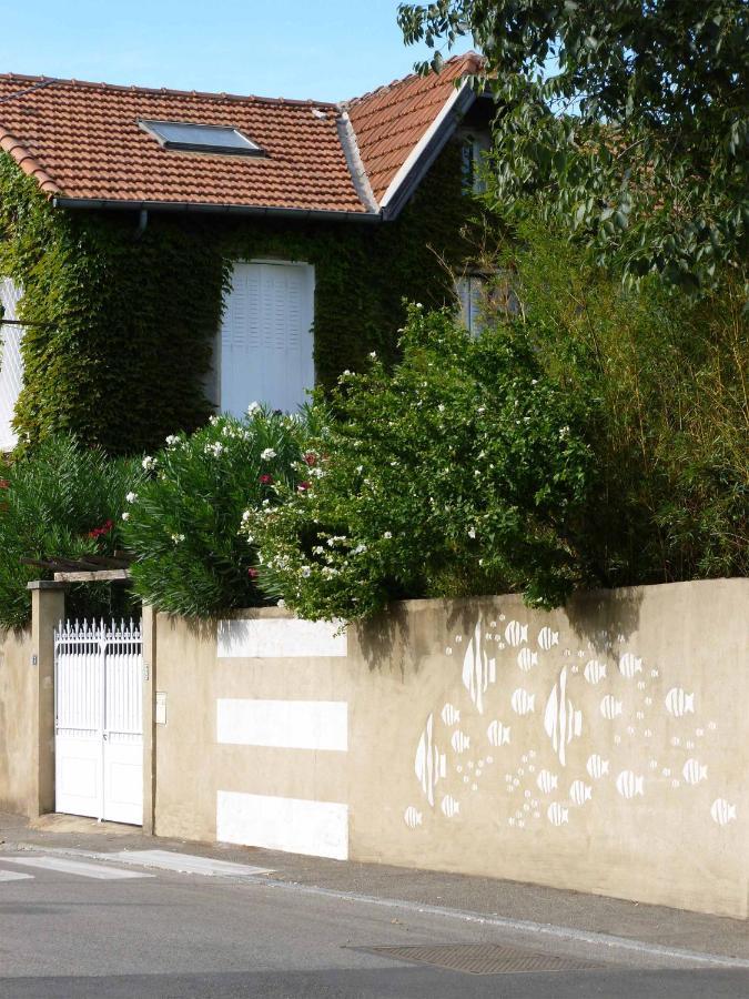 Les Petits Poissons Bed & Breakfast Avignon Exterior foto